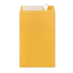 Kraft Envelopes